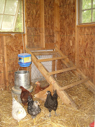 cluckingham palace coop visit story