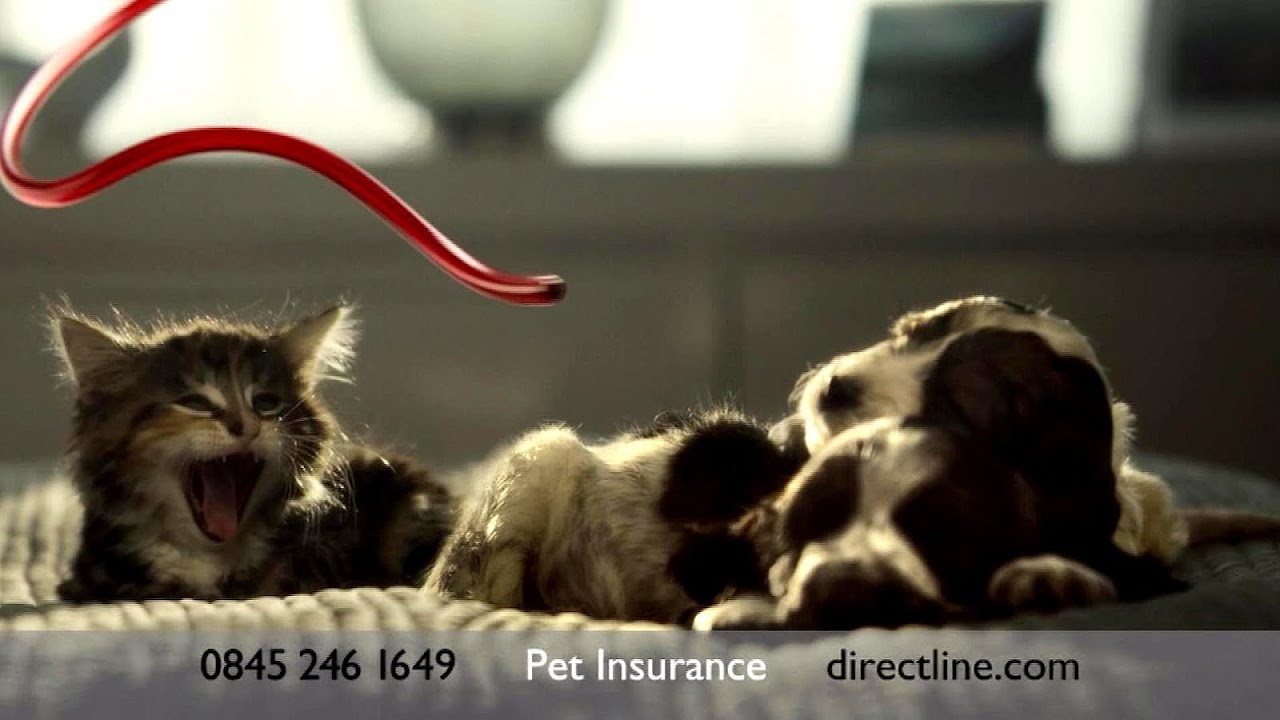 Direct Line Pet Insurance Pet choices