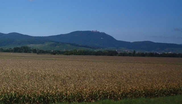 винная дорога, Эльзас, замок Верхний Кенигсбург, Франция,замок