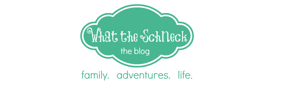What the Schneck! - the Blog
