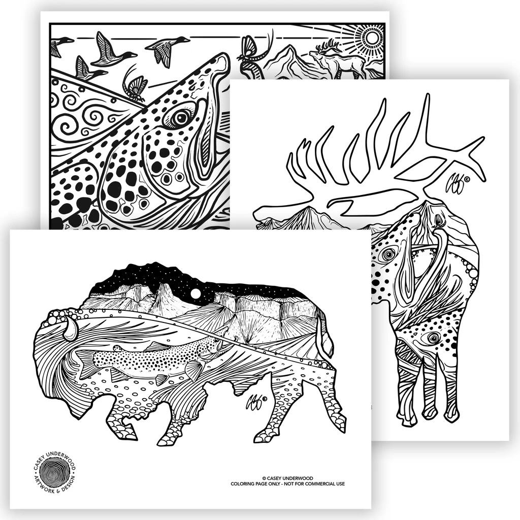 The Fiberglass Manifesto Casey Underwood Art Coloring