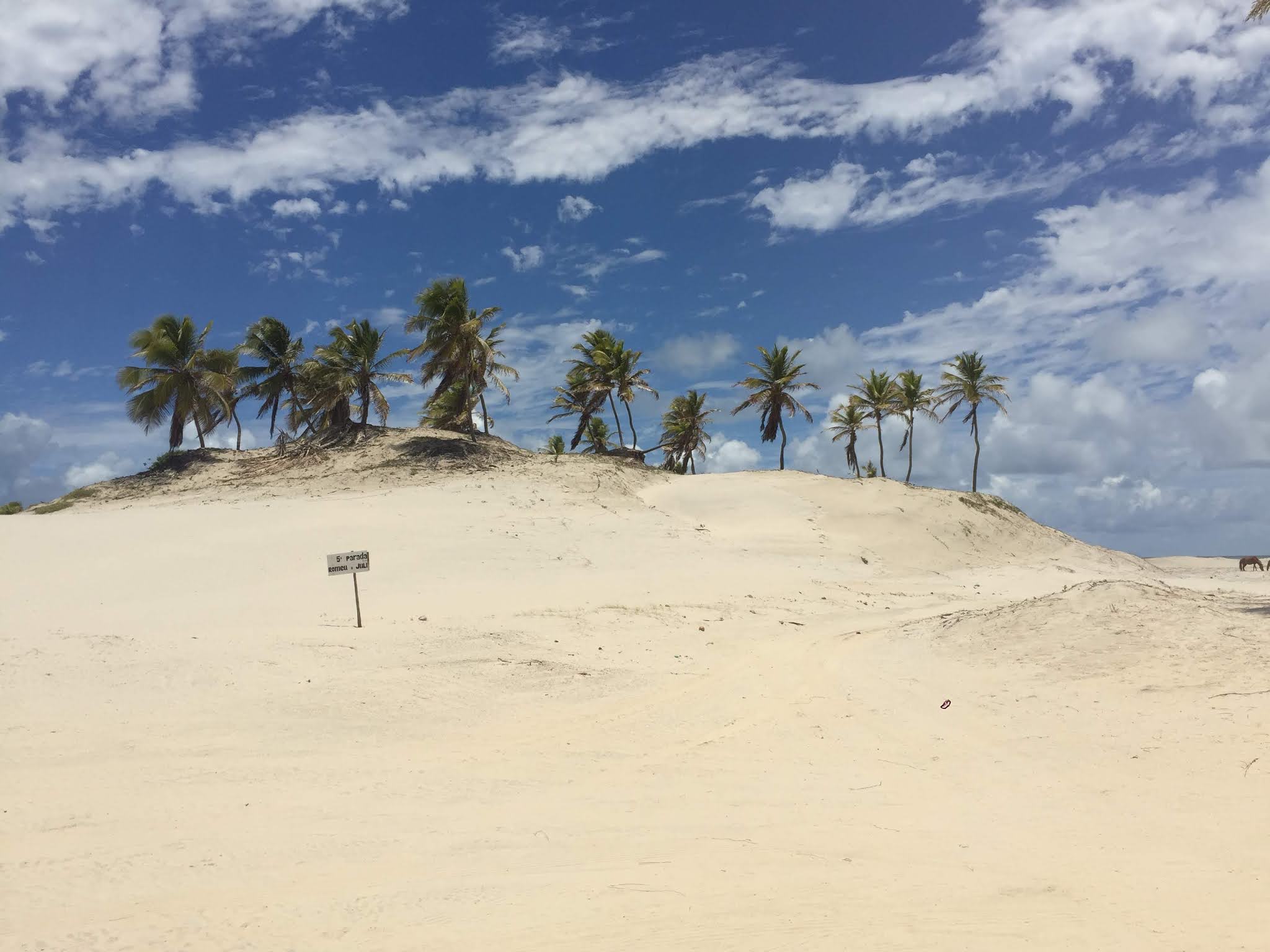 Https://Www.Passagenspromo.Com.Br/Blog/Mangue Seco Bahia/ - 6935swr