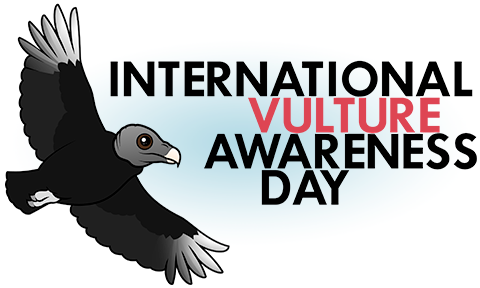 Vulture Day