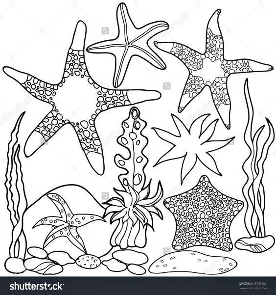 Gambar sketsa pemandangan bawah laut