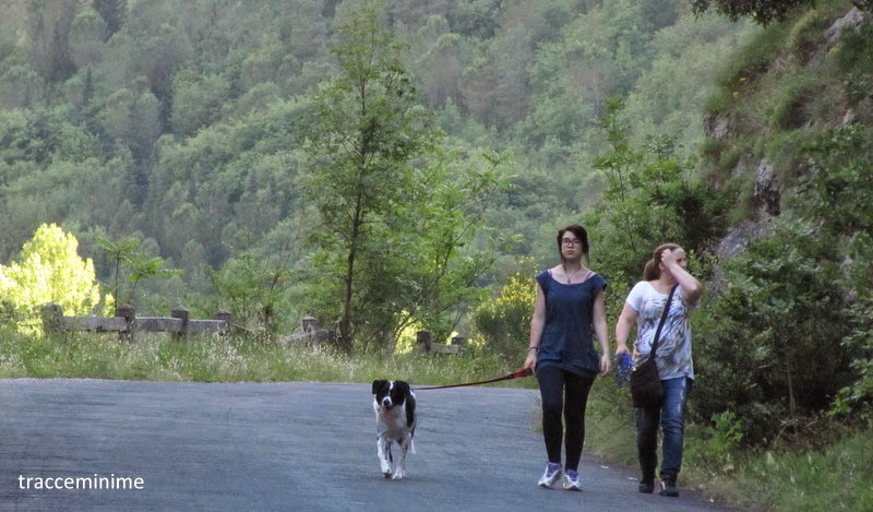 Passeggiata nella Gola della Rossa