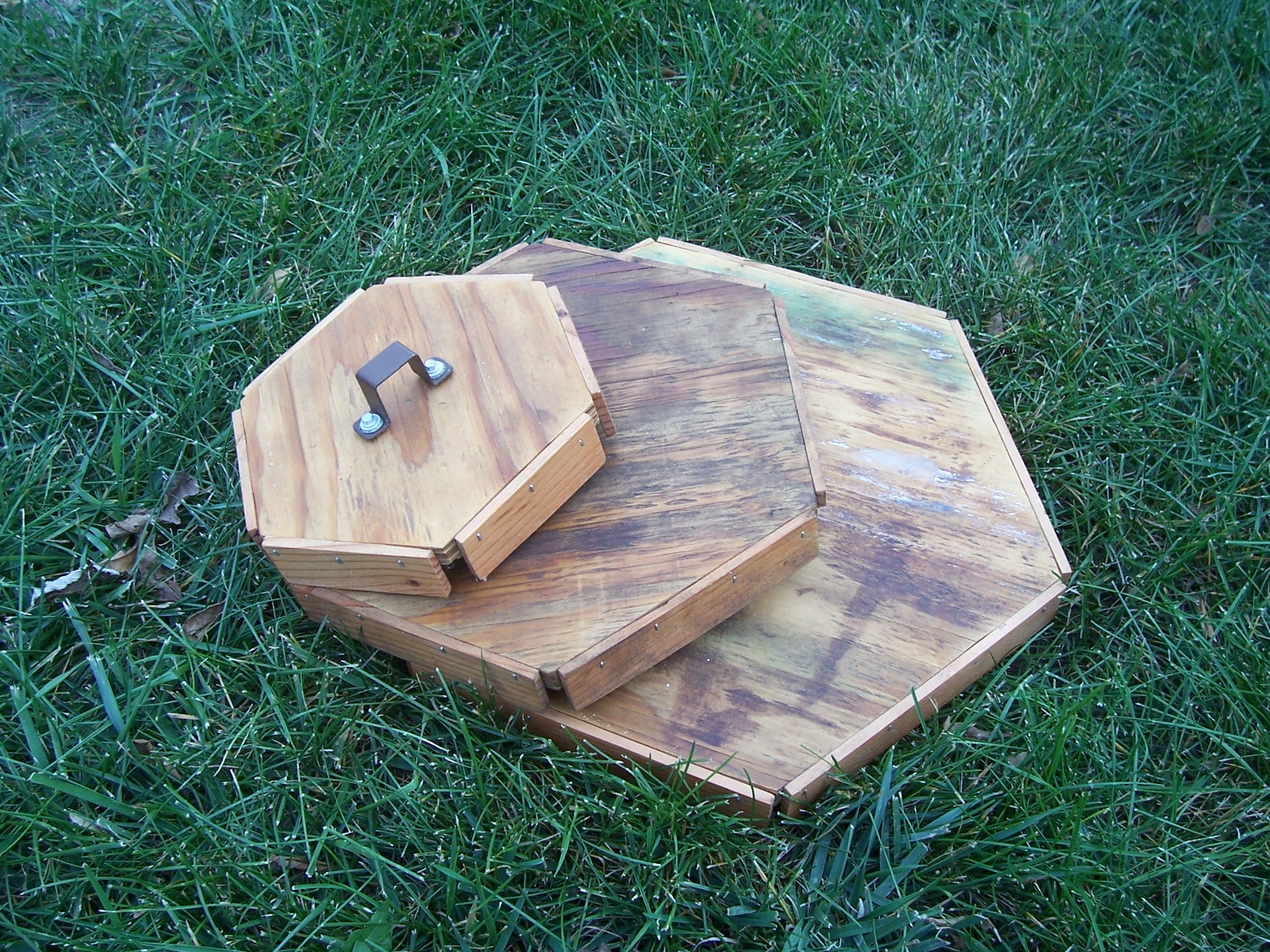 Joe's Garden Journal Planting Potato Onions with Hex Spacing