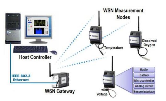 Sensor Nirkabel KAMEN RIDER SPECTRE: Jaringan Sensor Nirkabel (Wireless Sensor Network)