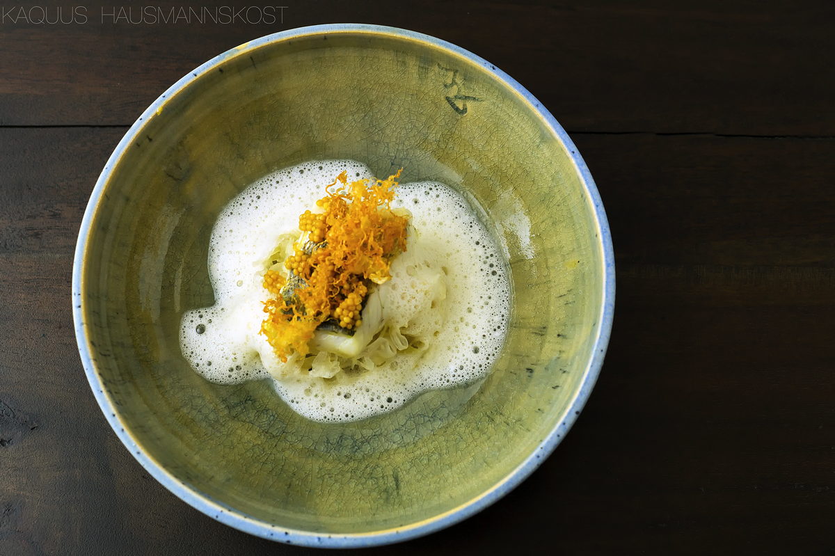 KAQUUS HAUSMANNSKOST: Zander , Sauerkraut, Senf und Apfelschaum KAQUUS HAUSMANNSKOST: Zander , Sauerkraut, Senf und Apfelschaum