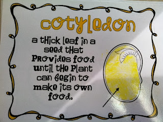 Mrs. Yuska's Class: October 2013