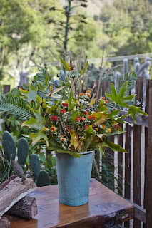 Big Sur Bakery & Restaurant Thanksgiving decoration