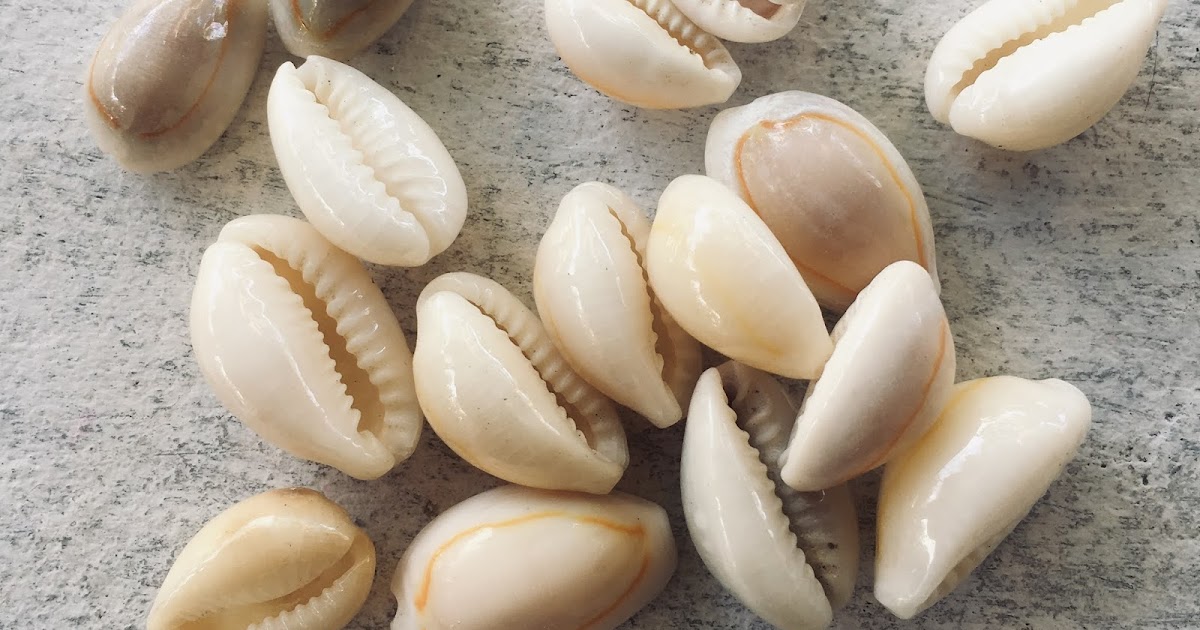 Cowrie Shells Filipino Conjure & Rootwork