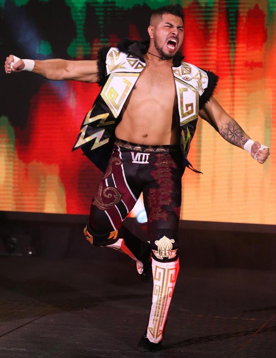 Beefcakes of Wrestling MiniPost Raul Mendoza