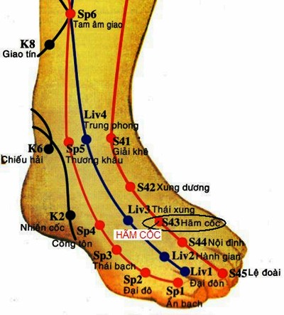 Vị trí huyệt hãm cốc