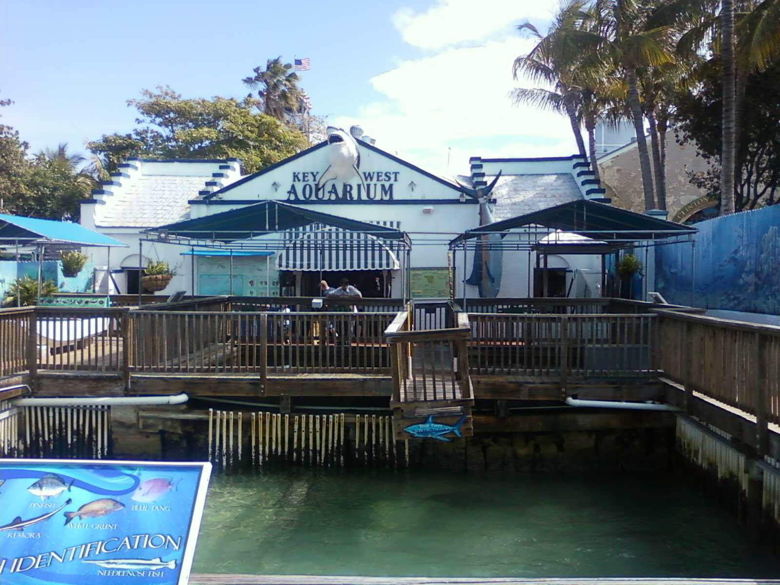 What Was I Thinking? Key West Aquarium Quaint, Cozy, Educational, Fun!
