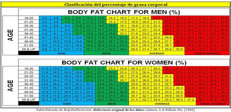 Clasificacion porcentaje de grasa corporal