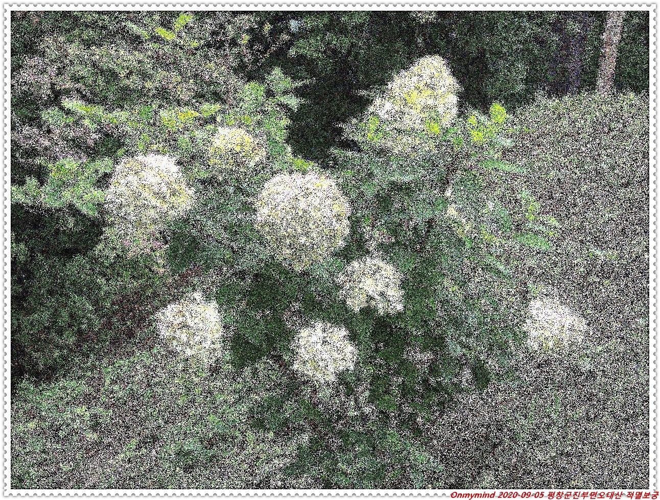 오대산 적멸보궁 오대산 적멸보궁