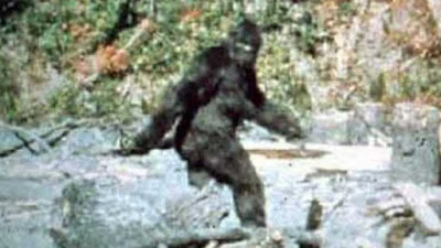Η κινηματογράφηση ενός Bigfoot (Μεγαλοπόδαρου) από τους Patterson και Gimlin – Η ιστορία ενός θρυλικού φιλμ (ΦΩΤΟ)  