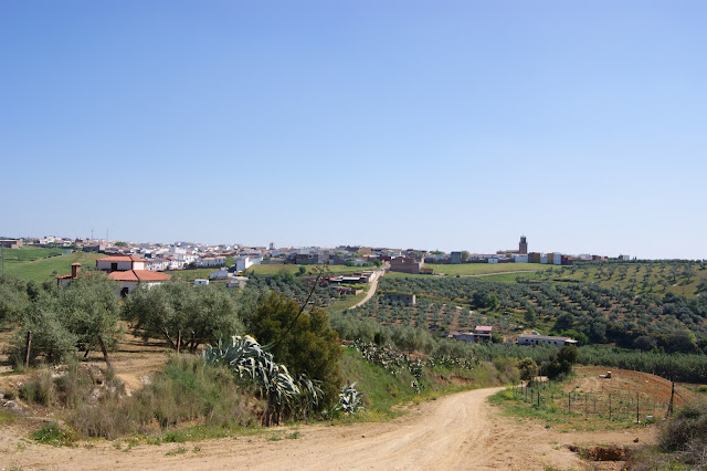 Vista panorámica de Adamuz .