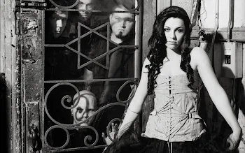 amy lee