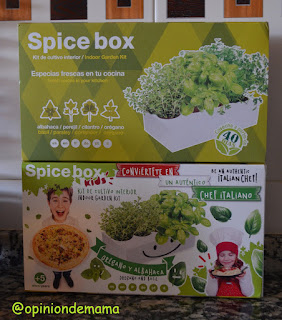 Spicebox o cómo tener condimento fresco siempre en tu cocina con un mini huerto.