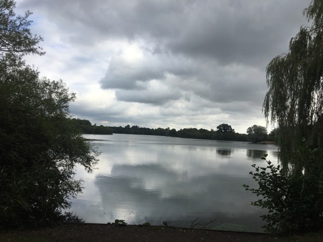 Dinton Pastures Country Park