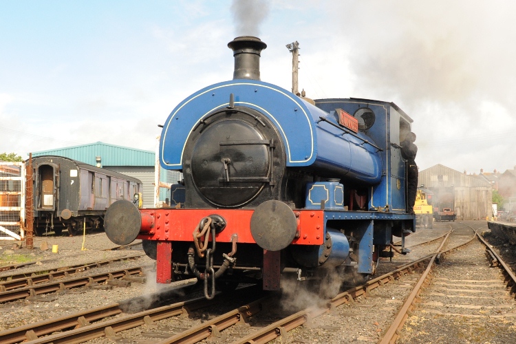 BLAGAROON 2 Irish Steam Train back on rails