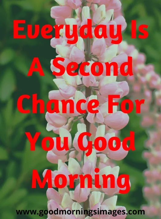 good morning quotes with pictures good morning quotes with pictures
