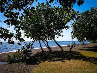 Natural Scenery Of Rural Beach With Shade Trees On A Sunny Day In The Dry Season At The Village Seririt North Bali Indonesia