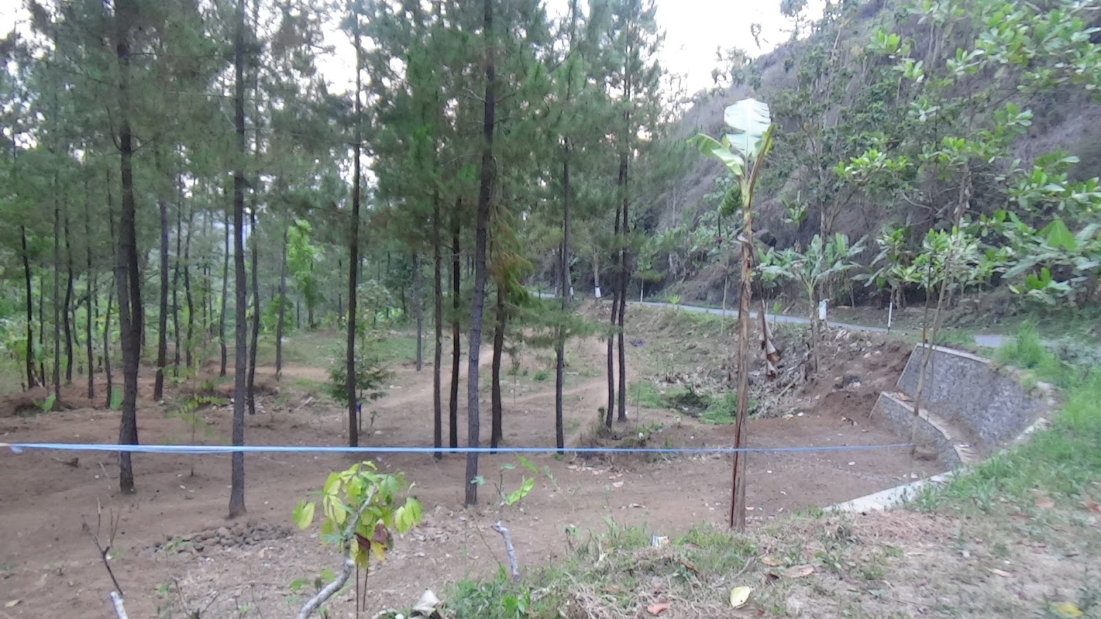 KIM JAGUAR: REST AREA WATU LAWANG SIAP DIGARAP