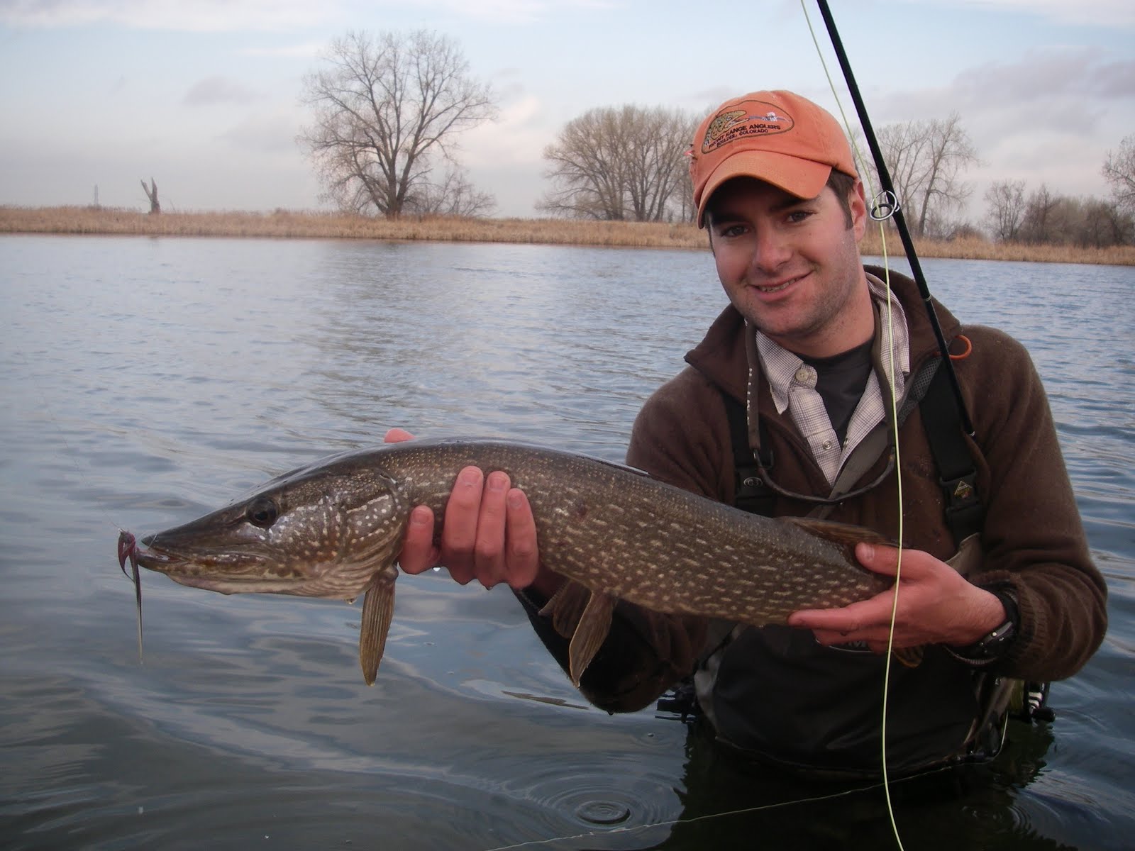 Colorado Fly Fishing Reports January 2010