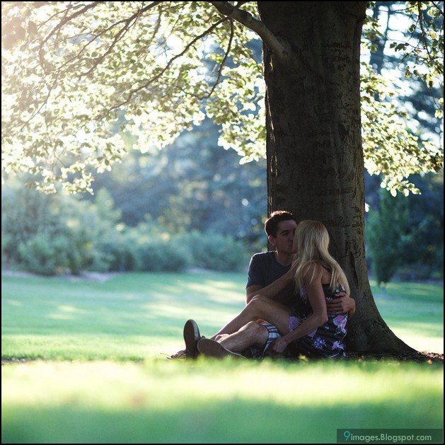 couple, kiss, tree, romantic