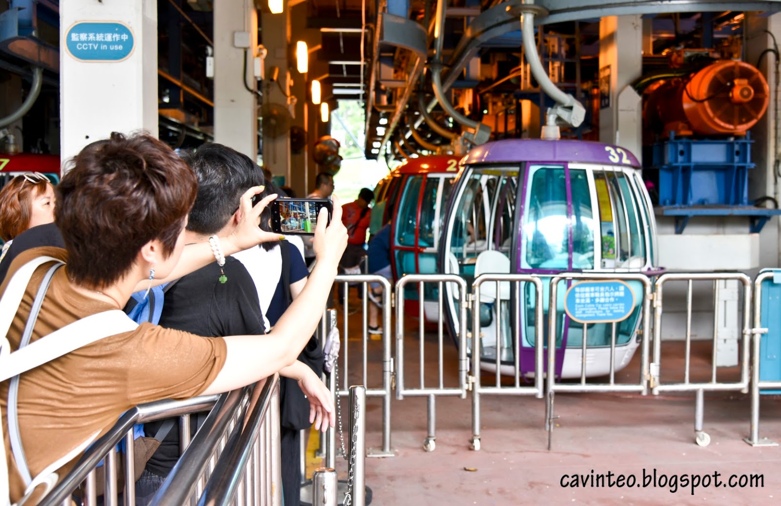 Entree Kibbles Taking the Cable Car Across the Mountain at Ocean Park