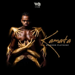 Diamond Platnumz - Kamata (Afro Pop)