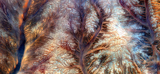 Stone plant fantasy,Abstract Naturalism,abstract photography deserts of Africa from the air,abstract surrealism,mirage in desert,fantasy forms and colors in the desert,plants,flowers, leaves,roots Stone plant fantasy,Abstract Naturalism,abstract photography deserts of Africa from the air,abstract surrealism,mirage in desert,fantasy forms and colors in the desert,plants,flowers, leaves,roots