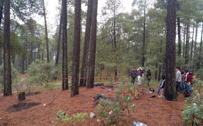 Rayo mata a un joven en el Edomex mientras plantaba árboles