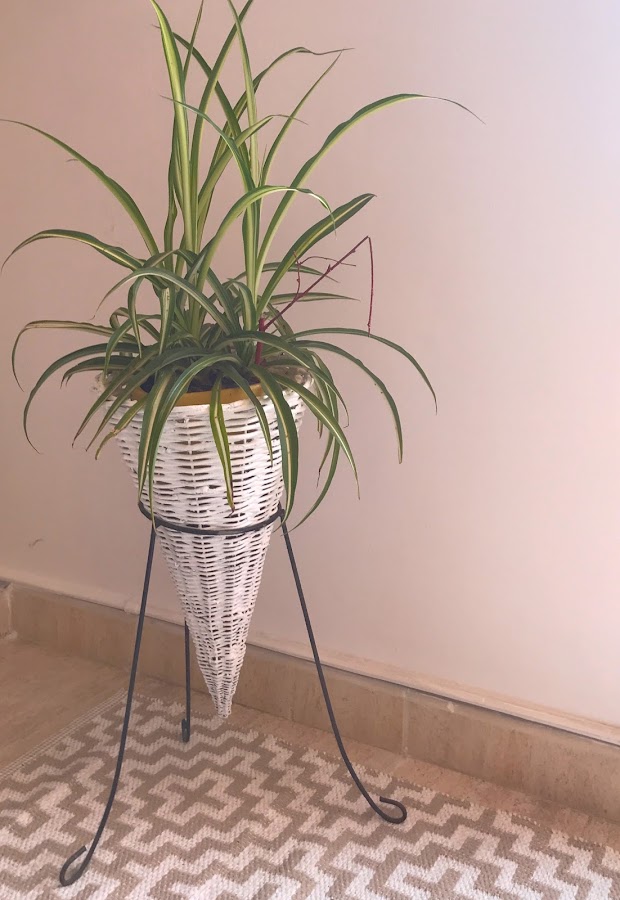 La Cinta no puede falta en tu casa