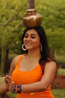 2011 namitha wallpapers_hot_HD_wallpapers