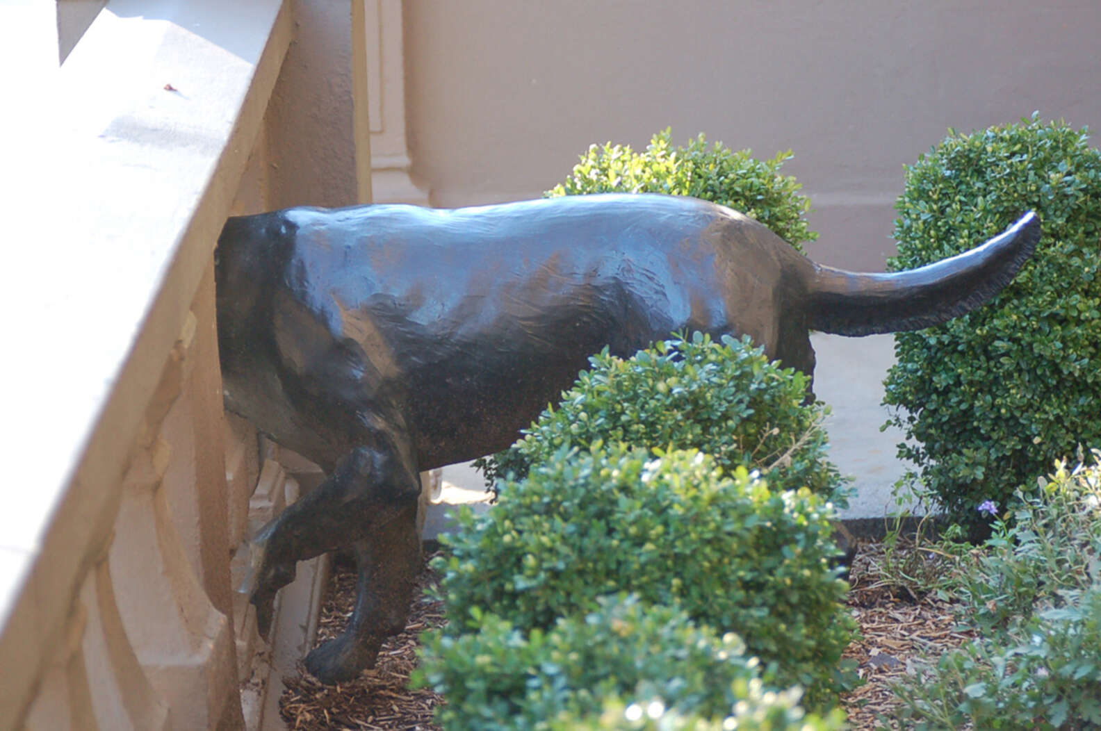 Mujer pasa junto a una estatua misteriosa con la historia más dulce detrás