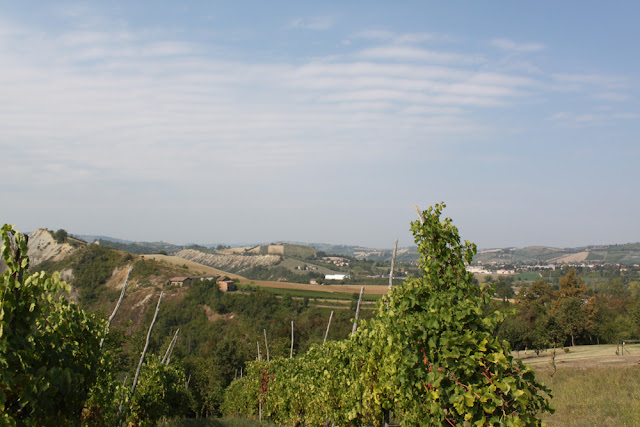 Bologna, Valsamoggia - Viinitarhoja ja koirahommia 37 Bologna, Valsamoggia - Viinitarhoja ja koirahommia 36
