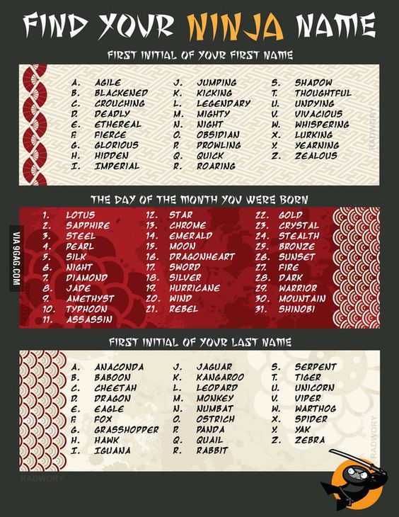PopQuizfFunPalace Whats your Ninja name?
