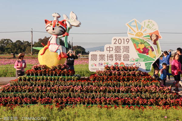 2019新社花海|台中國際花毯節|愛與希望-小王子的星球之旅|活動資訊