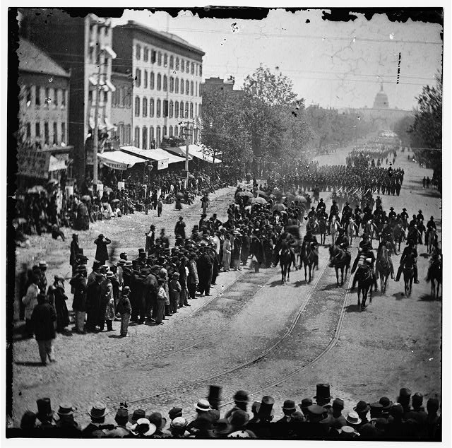 Lot De 10 Tiges PVA Vert Translucide Pour Pêche à La Carpe - Pour Présenter L'amorce, Se Dissout Dans L'eau