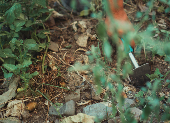 Arti Mimpi Mencangkul Di Tanah Yang Keras