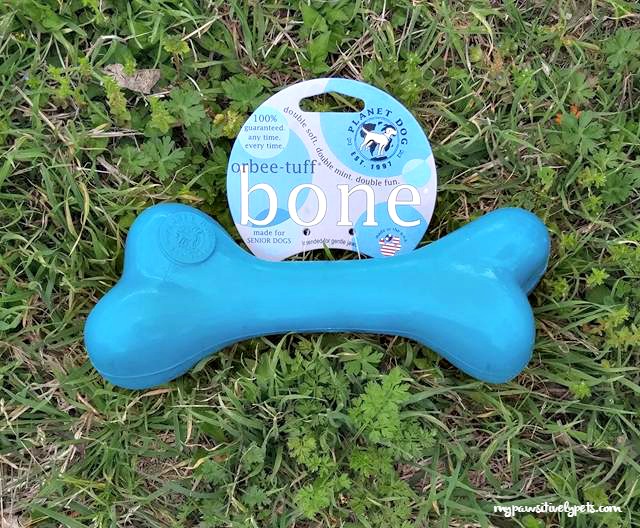 Toys Made for Senior Dogs, Old Soul Bone
