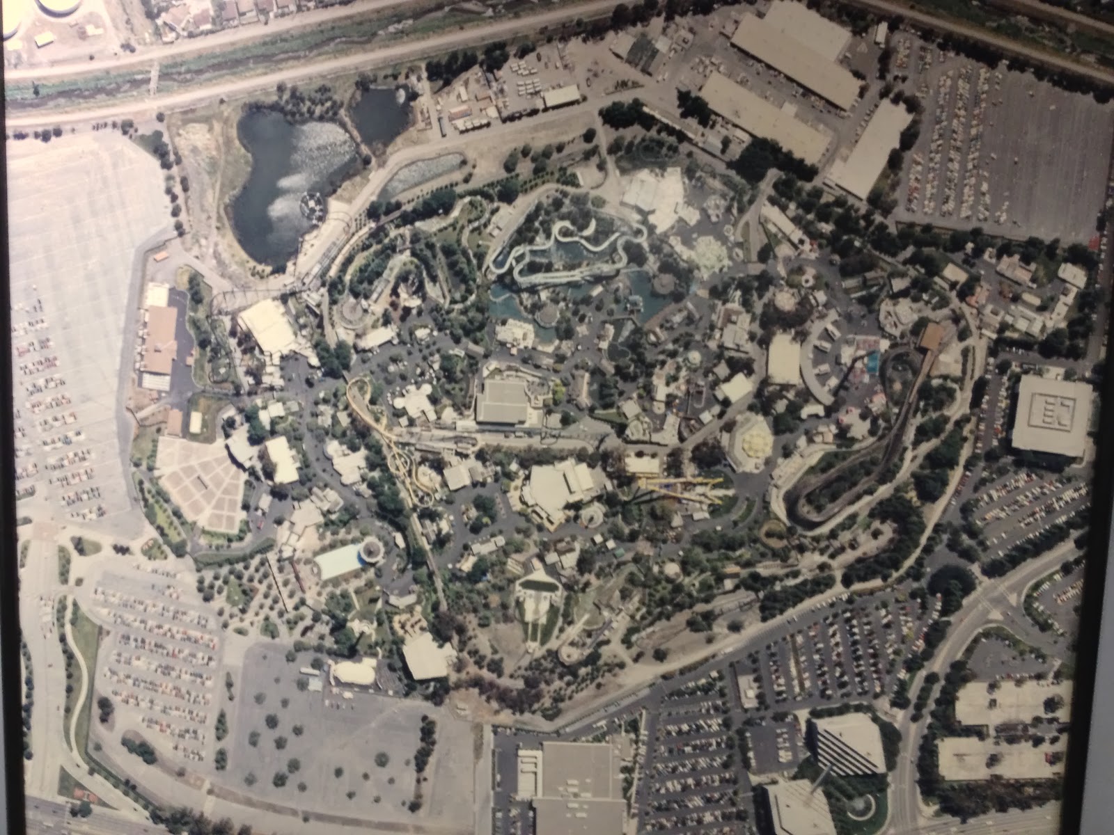 LyfInFocus Californias Great - IMG 6384.JPG