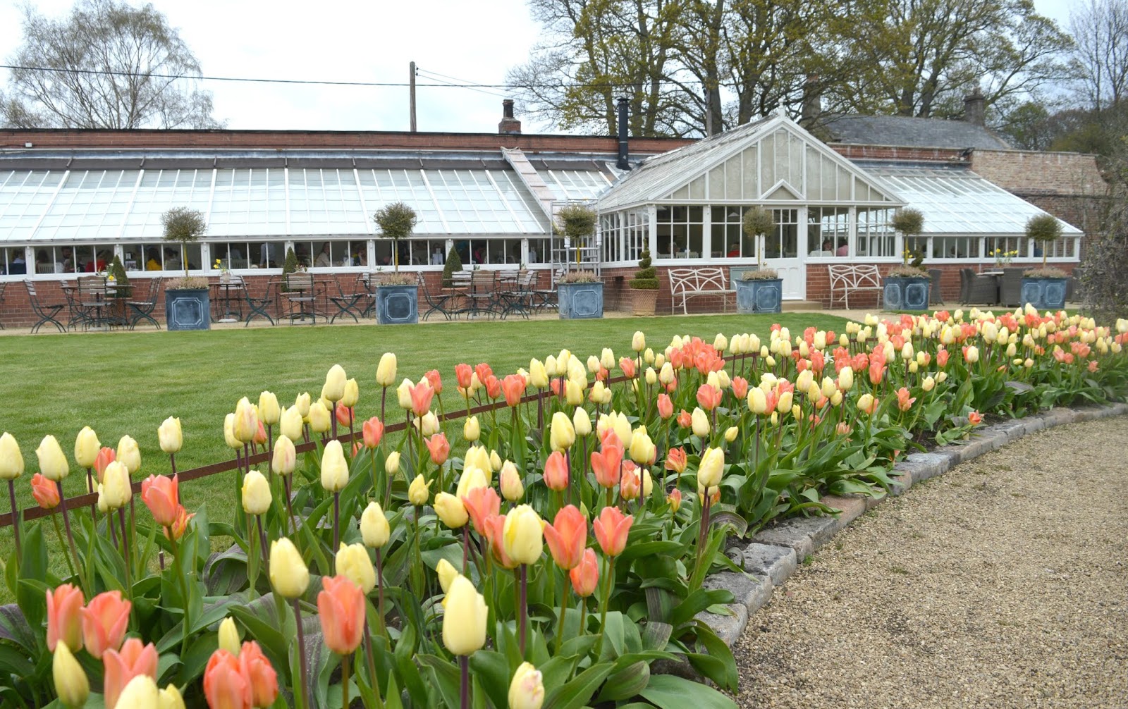 Sunday Lunch at Bradley Gardens, Wylam New Girl in Toon