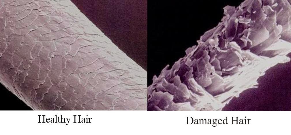 There are four main causes of hair damage. There are also ways to prevent them. See how at arelaxedgal.com