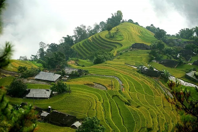 Trekking In Ha Giang Province [TRAVEL GUIDE 2019]