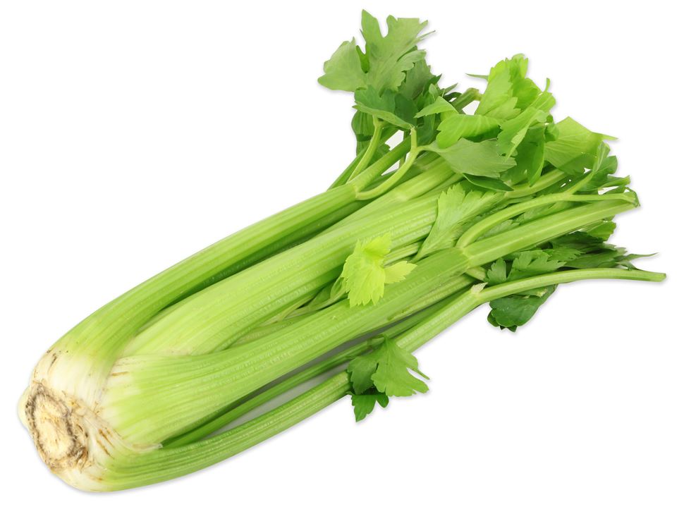 Benefits Of Celery Leaves To Your Healthy Hair Hydroponic Farming