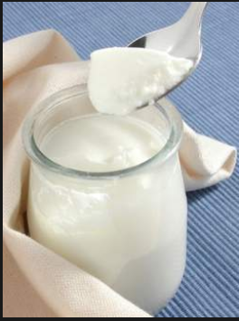 Bakteri Yogurt